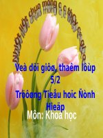 Bài 46-47. Lắp mạch điện đơn giản