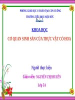 Bài 51. Cơ quan sinh sản của thực vật có hoa