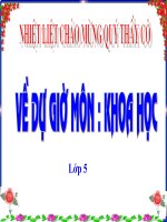 Bài 67. Tác động của con người đến môi trường không khí và nước