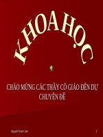 Bài 7. Từ tuổi vị thành niên đến tuổi già