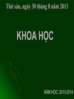 Bài 4. Cơ thể chúng ta được hình thành như thế nào?
