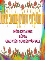 Bài 7. Từ tuổi vị thành niên đến tuổi già