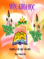 Bài 54. Cây con có thể mọc lên từ một số bộ phận của cây mẹ