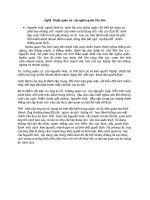 Nghệ thuật quân sự của nghĩa quân tây sơn