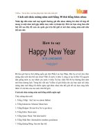 cach noi chuc mung nam moi bang 30 thu tieng