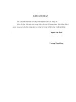 Giải pháp tạo động lực cho cán bộ công chức xã, phường thành phố Đà Nẵng.