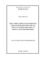 Hoàn thiện chính sách marketing cho sản phẩm phân bón NPK tại Công ty cổ phần Phân bón và Dịch vụ tổng hợp Bình Định