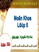 Bài 13. Phòng bệnh sốt xuất huyết