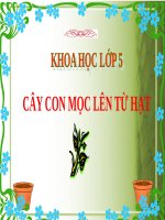 Bài 53. Cây con mọc lên từ hạt