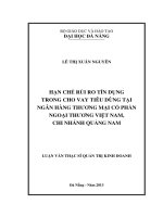 Hạn chế rủi ro tín dụng trong cho vay tiêu dùng tại ngân hàng TMCP ngoại thương Việt Nam, chi nhánh Quảng Nam.