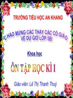 Bài 33-34. Ôn tập và Kiểm tra học kì I