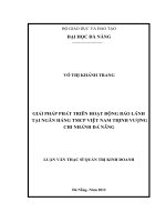 Giải pháp phát triển hoạt động bào lãnh tại ngân hàng TMCP Việt Nam Thịnh vượng, CN Đà Nẵng