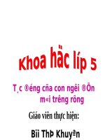 Bài 65. Tác động của con người đến môi trường rừng