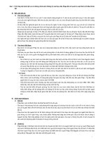 đề cương lịch sử đảng 