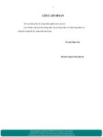 Giải pháp phát triển nhà ở xã hội Thành phố Đà Nẵng.