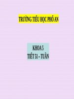 Bài 51. Cơ quan sinh sản của thực vật có hoa