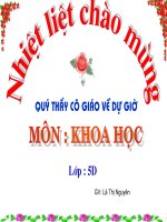 Bài 33-34. Ôn tập và Kiểm tra học kì I