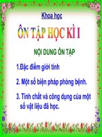 Bài 33-34. Ôn tập và Kiểm tra học kì I