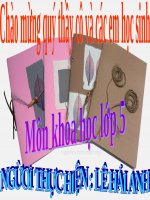 Bài 1. Sự sinh sản