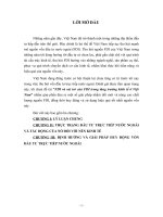 TL tiểu luận FDI và vai trò của FDI trong tăng trưởng kinh tế ở việt nam 