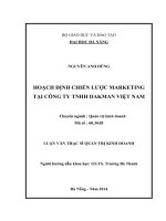 Hoạch định chiến lược marketing tại công ty TNHH DakMan Việt Nam