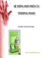 hệ thống phân phối của terminal passio sản phẩm cà phê túi lọc passio 