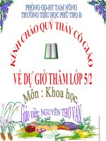 Bài 67. Tác động của con người đến môi trường không khí và nước