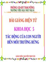Bài 65. Tác động của con người đến môi trường rừng