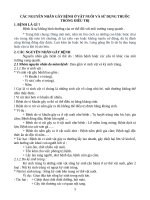 các nguyên nhân gây bệnh ở vật nuôi và sử dụng thuốc trong điều trị 