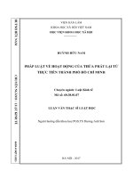 Pháp luật về hoạt động của Thừa phát lại từ thực tiễn Thành phố Hồ Chí Minh (LV thạc sĩ)