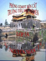 Bài 33-34. Ôn tập và Kiểm tra học kì I