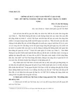 Chính sách của việt nam với mỹ và quan hệ việt   mỹ những năm đầu thế kỷ XXI, thực trạng và triển vọng 