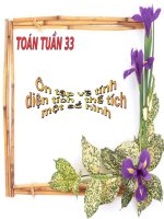 Ôn tập về tính diện tích, thể tích một số hình