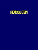 Chuyển hóa hemoglobin 