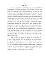 TIỂU LUẬN tâm lý học   một số BIỆN PHÁP cơ bản rèn LUYỆN, HOÀN THIỆN NHÂN CÁCH đội NGŨ cán bộ LÃNH đạo QUẢN lý, CHỈ HUY bộ đội HIỆN NAY