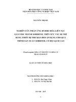 Nghiên cứu phản ứng hydro hóa liên tục glucose thành sorbitol trên xúc tác dị thể bằng thiết bị trickcle-bed áp dụng cho quá trình sản xuất sorbitol có độ sạch cao”