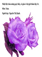 Ôn tập về phân số (tiếp theo)