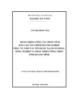 Hoàn thiện công tác phân tích báo cáo tài chính doanh nghiệp phục vụ cho vay tín dụng tại ngân hàng NN&PTNT, Tỉnh Quảng Bình