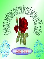 Ôn tập về phân số (tiếp theo)