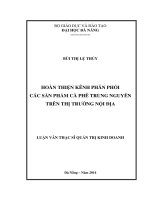 Hoàn thiện kênh phân phối các sản phẩm cà phê Trung Nguyên trên thị trường nội địa