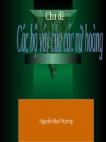 Ôn tập: Khái niệm về phân số