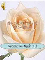 Ôn tập: Bảng đơn vị đo độ dài