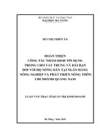 Hoàn thiện công tác thẩm định tín dụng trong cho vay trung và dài hạn đối với hộ nông dân tại ngân hàng NN&PTNT, chi nhánh Quảng Nam