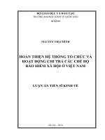 Hoàn thiện hệ thống tổ chức và hoạt động chi trả các chế độ bảo hiểm xã hội ở Việt Nam