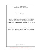 Nghiên cứu khả năng thích ứng và một số biện pháp kỹ thuật đối với địa lan kiếm trần mộng xuân (cymbidium lowianum) tại lai châu 