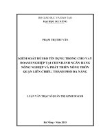 KIểm soát rủi ro tín dụng trong cho vay doanh nghiệp tại chi nhánh ngân hàng NN&PTNT Quận Liên Chiểu, Thành phố Đà nẵng
