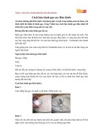 cach lam banh gao cay han quoc