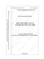 Khả năng chịu cắt của dầm bẹt bê tông cốt thép (tt) 