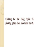 Đa cộng tuyến và phương pháp chọn mô hình tối ưu 