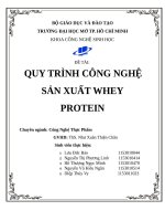 QUY TRÌNH CÔNG NGHỆ SẢN XUẤT WHEY PROTEIN